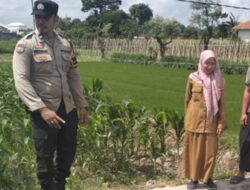 Lahan Kosong Jadi Sumber Cuan, Aksi Nyata Polsek Labuapi Perkuat Ketahanan Pangan Nasional