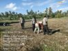 Kapolsek Suralaga Dampingi Penanaman Jagung, Perkuat Ketahanan Pangan di Lombok Timur