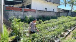 Bhabinkamtibmas desa kumbang Polsek Masbagik Lakukan silaturahmi dan monitoring ketahanan pangan di dusun Kumbung Selatan