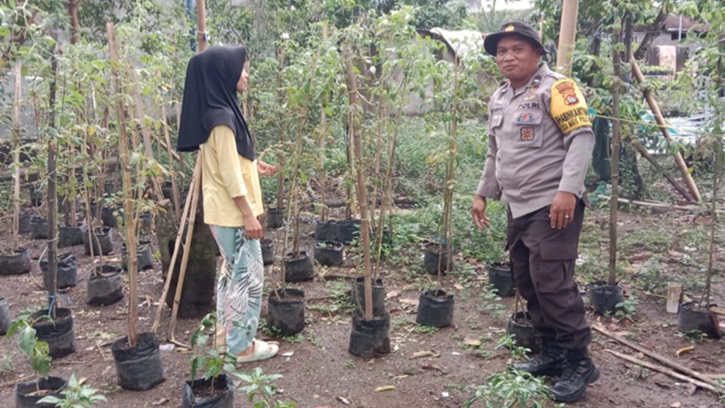 Bhabinkamtibmas Bagik Polak Barat Perkuat Ketahanan Pangan