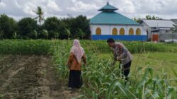 Bhabinkamtibmas di Lombok Barat Sulap Lahan Kosong Jadi Kebun Pangan