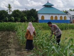 Bhabinkamtibmas di Lombok Barat Sulap Lahan Kosong Jadi Kebun Pangan