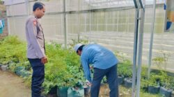 Bhabinkamtibmas Bajur Ajak Warga Manfaatkan Lahan Pekarangan