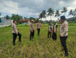 Waka Polres Lombok Tengah Mengecek Lahan Jagung di Dusun Arjangka Kecamatan Pringgarata