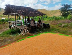 Bhabinkamtibmas Desa Jala Dorong Petani Tingkatkan Hasil Panen