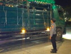 Kabar Baik dari Pelabuhan Lembar: Antrean Truk Sapi Nihil, Logistik ke Pulau Jawa Makin Cepat
