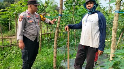 Bhabinkamtibmas Arab Kenangan Monitoring Ketahanan Pangan Warga, Dukung Program Swasembada