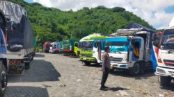 Antrian Truk Sapi di Pelabuhan Lembar Akhirnya Nihil, Distribusi Hewan Ternak ke Pulau Jawa Makin Lancar!