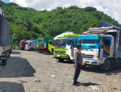 Antrian Truk Sapi di Pelabuhan Lembar Akhirnya Nihil, Distribusi Hewan Ternak ke Pulau Jawa Makin Lancar!