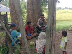 Polsek Woja Dorong Petani Maksimalkan Produksi Padi Demi Ketahanan Pangan Nasional