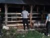 Cegah Kriminalitas, Polsek Sekotong Sisir Kandang Sapi Warga