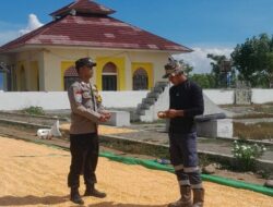 BHABINKAMTIBMAS DESA DAHA MONITORING PENJEMURAN JAGUNG WARGA DUKUNG KETAHANAN PANGAN NASIONAL