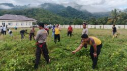 Bhabinkamtibmas Kelurahan Menala Gotong Royong Bersama di Mako Polsubsektor Brang Ene