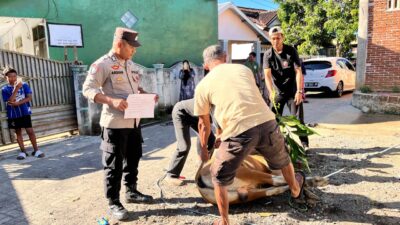 Bhabinkamtibmas Seteluk Tengah Dampingi Pemotongan Hewan Kurban Polres Sumbawa Barat