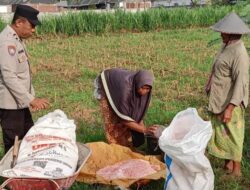 Kawal Distribusi Pupuk dan Motivasi Petani, Komitmen Polsek Labuapi Dukung Swasembada Pangan