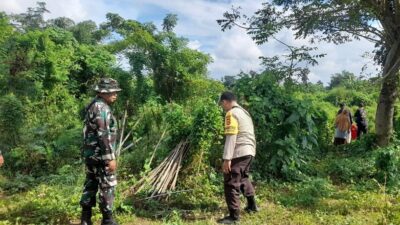Ketahanan Pangan Nasional Dimulai dari Lahan Tidur Desa