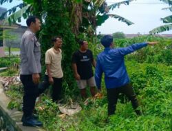 Lahan Sempit Jadi Aset, Cara Bhabinkamtibmas Desa Perampuan Bangkitkan Kemandirian Pangan Warga
