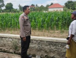 Transformasi Humanis Polri: Saat Bhabinkamtibmas dan Petani Bersinergi Demi Kedaulatan Pangan