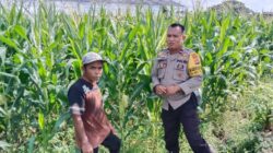 Polsek Labuapi Kawal Ketahanan Pangan di Desa Bagik Polak