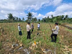 Polres Lombok Tengah Matangkan Persiapan Panen Raya Serentak Kuartal II Tahun 2026