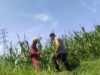 Bhabinkamtibmas Lombok Barat dampingi Petani Kuranji Dalang Sukseskan Ketahanan Pangan