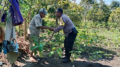 Bhabinkamtibmas Lombok Barat Dampingi Petani Hortikultura Sukseskan Ketahanan Pangan