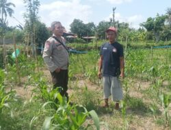 Bukan Patroli Biasa, Ini Langkah Nyata Polres Lombok Barat Jaga Ketahanan Pangan
