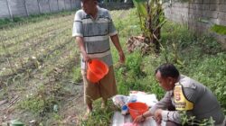 Bhabinkamtibmas Labuapi Kawal Swasembada Pangan Desa