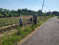 KonseBhabinkamtibmas Desa Surabaya Sambang dan Silaturahmi dengan Warga, Ajak Dukung Ketahanan Pangan serta Jaga Kamtibmas Otomatis