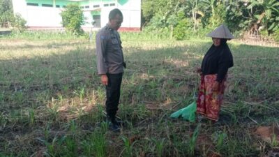 Polres Lombok Barat Kawal Program Swasembada Pangan di Desa Kuranji