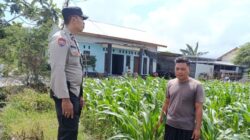 Polisi Dorong Warga Labuapi Manfaatkan Pekarangan