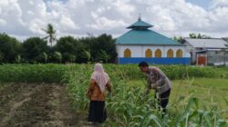 Polsek Labuapi Ajak Warga Telagawaru Manfaatkan Lahan Kosong