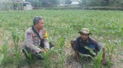 Cara Polsek Batulayar Lombok Barat Perkuat Ketahanan Pangan Desa
