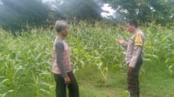 Cara Bhabinkamtibmas Desa Sandik Sukseskan Ketahanan Pangan