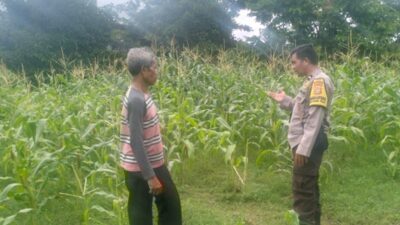 Cara Bhabinkamtibmas Desa Sandik Sukseskan Ketahanan Pangan