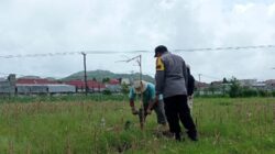Bhabinkamtibmas Karang Bongkot Dorong Ketahanan Pangan
