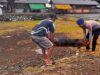 “Polisi Peduli” Satpolairud Polres Bima Kabupaten Bersama Warga Bersihkan Tumpukan Sampah di Dermaga Tradisional Bajo