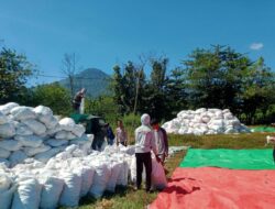 BHABINKAMTIBMAS DESA WOKO PANTAU PROSES PENGGILINGAN DAN PENJEMURAN JAGUNG