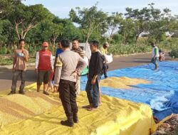 BHABINKAMTIBMAS DESA HU’U DAMPINGI PETANI JAGUNG, DUKUNG KETAHANAN PANGAN DAN KEMANDIRIAN EKONOMI WARGA