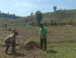 BHABINKAMTIBMAS DESA RABABAKA DORONG PETANI SIAP HADAPI MUSIM TANAM, DUKUNG KETAHANAN PANGAN DAERAH