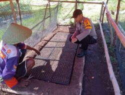 BHABINKAMTIBMAS DESA DOREBARA SAMBANGI PETANI SAYUR, DORONG KETAHANAN PANGAN DAN PENINGKATAN EKONOMI KELUARGA