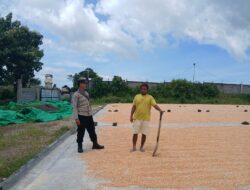 JAGA KUALITAS HASIL PANEN, BHABINKAMTIBMAS DORONG PETANI MANFAATKAN PROGRAM BULOG