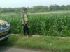 Polri Dukung Astacita, Polsek Rengel Polres Tuban Turun Cek Tanaman Jagung Warga di Desa Campurejo