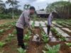 POLRI HADIR DI TENGAH PETANI, KAWAL KETAHANAN PANGAN DAN PENINGKATAN EKONOMI WARGA