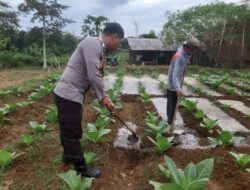 POLRI HADIR DI TENGAH PETANI, KAWAL KETAHANAN PANGAN DAN PENINGKATAN EKONOMI WARGA