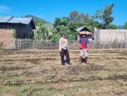 MELALUI PENDAMPINGAN PETANI, POLRI PERKUAT KETAHANAN PANGAN DARI DESA