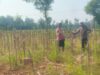 Bhabinkamtibmas Desa Kembangbilo Sambangi Petani Jagung, Perkuat Sinergi  Dukung Ketahanan Pangan