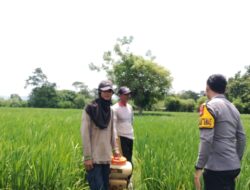 Bhabinkamtibmas Desa Labuhan Bontong Pantau Pertanian Warga Dukung Ketahanan Pangan