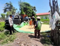 DUKUNG PROGRAM KETAHANAN PANGAN NASIONAL, BHABINKAMTIBMAS DESA DAHA MONITOR HASIL PANEN JAGUNG