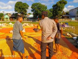 Pastikan Kualitas Hasil Panen, Bhabinkamtibmas Himbau Petani Penuhi Standar Bulog